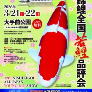 第42回 錦鯉全国若鯉品評会　姫路市