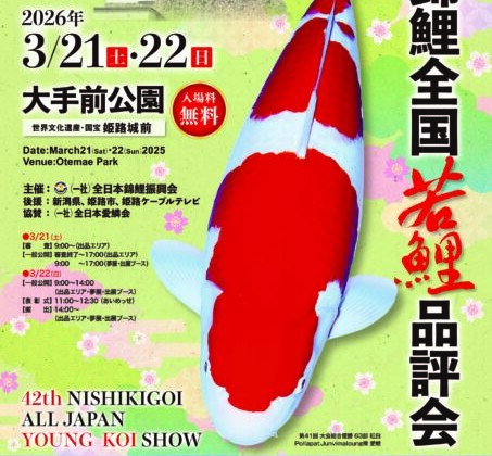 第42回 錦鯉全国若鯉品評会　姫路市