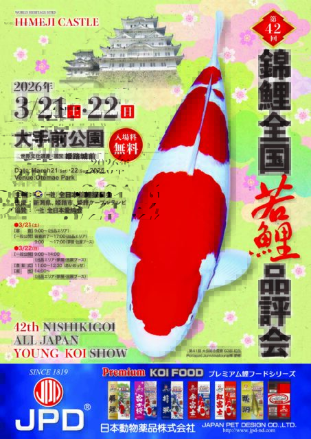 第42回 錦鯉全国若鯉品評会　姫路市